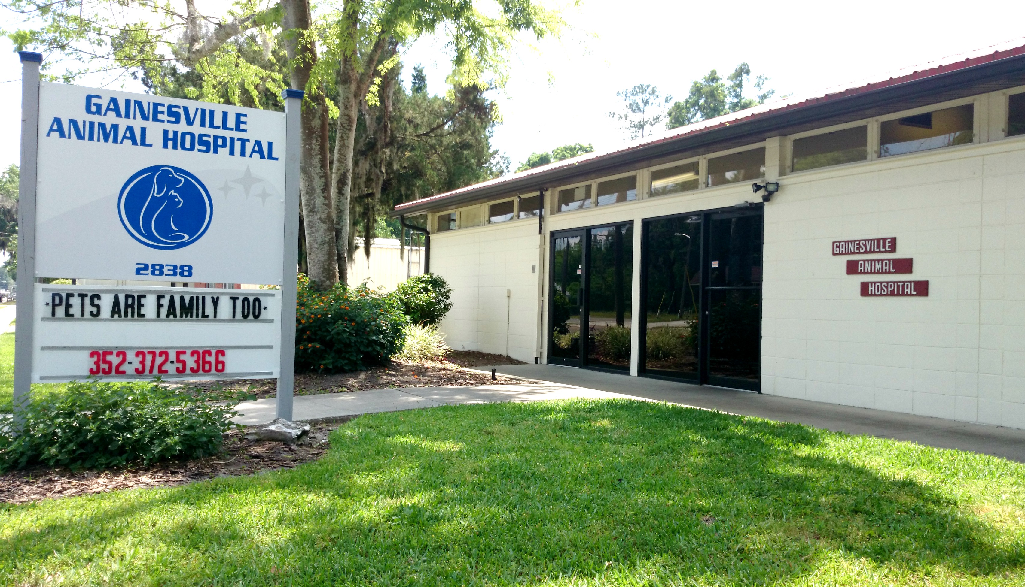 Gainesville Animal Hospital - Veterinarian in Gainesville, FL US :: Home Gainesville  Animal Hospital - Veterinarian in Gainesville, FL US